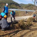 순천 나무숲 이미지