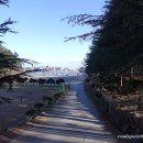 금화정 막국수 | 2601 속초 2일: 영랑호 산책, 금화정 막국수