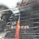 유니크이엔엠