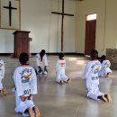 한국체대 비전태권도 이미지