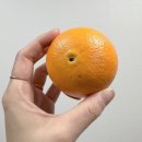 건우상점 이미지