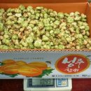 산약초에 대한 이해 이미지