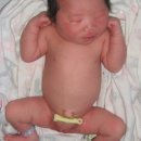 세라세미 이미지