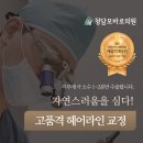 헤어료