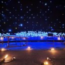 동서양의 이색적인 어울림 <첼로가야금> 이미지