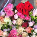 장미농원 이미지