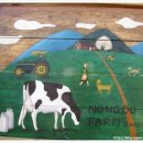 윤수목장 이미지