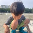 신호솔밭공원 이미지