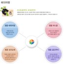 드림항공여행사 이미지