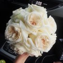 감나무집아구찜 이미지