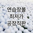 킹콩 골프연습장 이미지