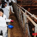 증산한우농장 이미지