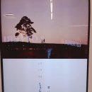 롯데백화점 롯데리아 🍋레몬 아이스티 이미지