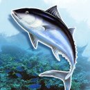 참치어장 이미지