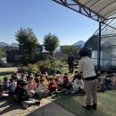 [하하농장]에서 동물 친구들과 즐거운 만남🐰🐥🦙 이미지