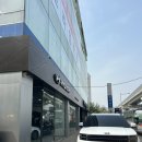 카마스터 | 🚗 펠리세이드 vs 싼타페 고민 중! 현대자동차 북인천대리점 방문후기 (ft. 여승구 카마스터님 감동 응대)