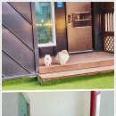 딩동댕애견스파풀빌라 이미지