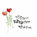 수채화 캘리그라피 이미지