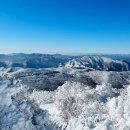 제65회 정선 함백산(신년산행) 이미지