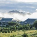 세화헬스케어(주) 이미지