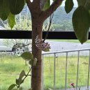 카페태그25 이미지