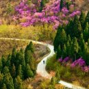 여수주유소 (건너) 이미지