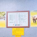 종로양곱창구이 이미지