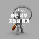 정부지원금