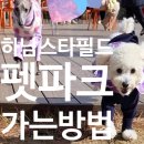 덕풍교옆 공원 | '미사 애견운동장'에서 '하남 스타필드 펫파크' 가는 법/방문후기