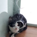 둔촌동물병원 이미지