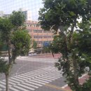 성남금융고.중탑초교 이미지