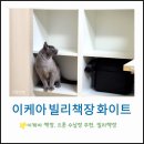 화이트빌리 | 드론 수납 이케아 빌리책장 화이트 305.220.41 가성비 수납장