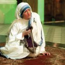 뽑기사랑 이미지