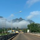 그린월드 이미지