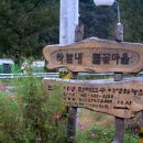 들꽃마을 펜션 이미지