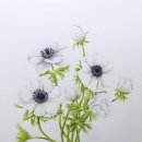 보테니컬아트 이미지