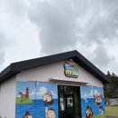 짱구비어 | 제주 짱구 팝업스토어 방문 후기!!