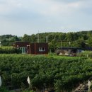 원경농장 이미지