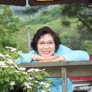 하이디하우스 이미지