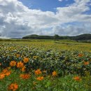 연천 호로고루 이미지