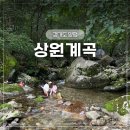 구립맑은숲 어린이집 | 양평 아이랑 떠나는 조용한 상원계곡 비밀 힐링 아지트(주차, 화장실, 꿀팁)