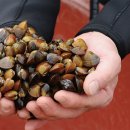 둥지농원 이미지