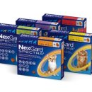 푸른약국 이미지