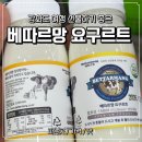 하나로 21 | 강화도 베따르망 요거트 파는 곳 농협하나로마트 가격 맛 후기