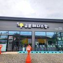 금문테니스장 화전점