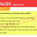 Re:What's the difference between a tortoise and a turtle? 이미지