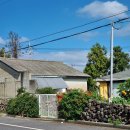 망장포입구(하례1교차로) 2 | 2025 추석, 서귀포 남원-인디언썸머와 태웃개