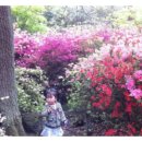 굿모닝민박2 Daum카페