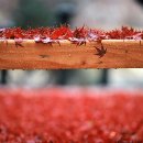 정곡 네이버블로그