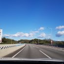 르꼼떼블루 이미지